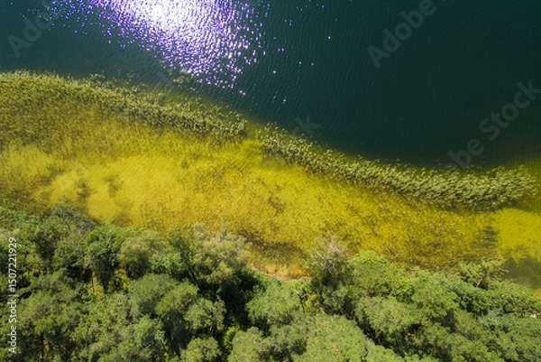 Fototapeta Top Down View of Lake Shore and a Forest of Labanoras Regional Park in Lithuania