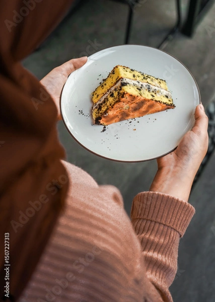 Fototapeta Hands holding a white plate with a tempting piece of layered cake, with chocolate crumbs and cream filling. A delicious dessert