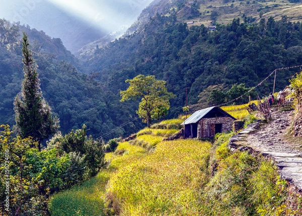 Fototapeta Farm in the Nepal valley - Himalayas
