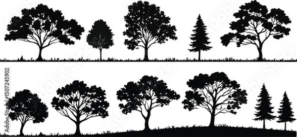 Obraz nature tree silhouettes with different trunk and canopy designs vector illustration
