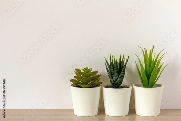 Fototapeta Indoor artificial plants, various succulents in pots. Succulents in white mini-pots. Ideas for home decoration. Copy space.