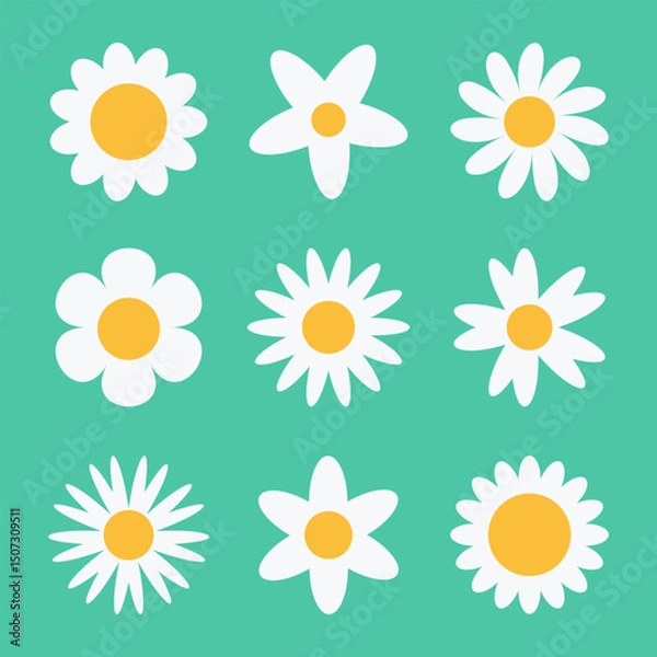 Fototapeta Chamomile daisy flower vector set. White camomile round flower icon. Set of simple, cute botanical floral elements design on a green background. Flat graphic abstract flower head vector illustration.