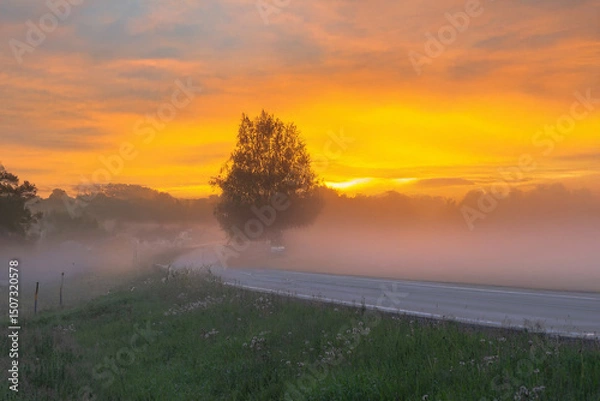 Fototapeta A glowing golden sunrise lights up a foggy rural road with trees silhouetted against the mist and a vivid yellow-orange sky.