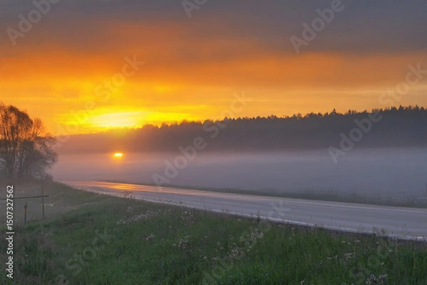 Fototapeta A glowing golden sunrise lights up a foggy rural road with trees silhouetted against the mist and a vivid yellow-orange sky.