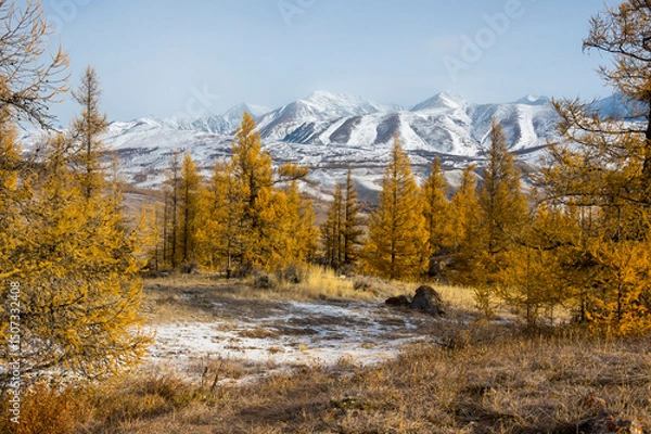 Obraz View of Altay mountains in the autumn