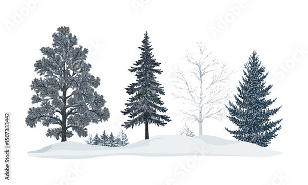Fototapeta Hemlock Tree Silhouettes in Frosted Forest, alpine evergreen winter ridge, snow-covered trees clipart, engraved icy forest art pack, vector illustration, cold weather nature, christmas tree