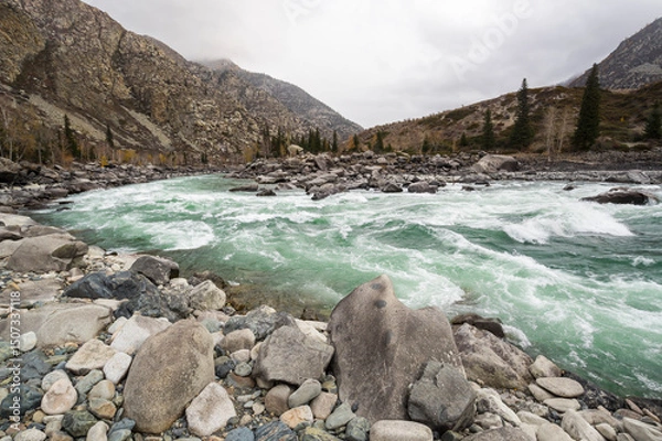 Obraz View of river Katun in Altay mountains in the autumn