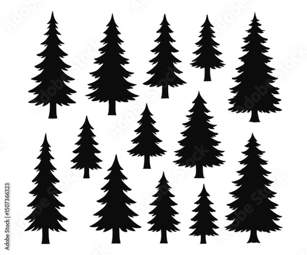 Fototapeta Silhouette of Pine Trees Set – Vector Evergreen Tree Illustration