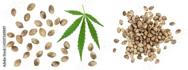 Fototapeta Hemp seeds isolated on white background with full depth of field. Top view. Flat lay