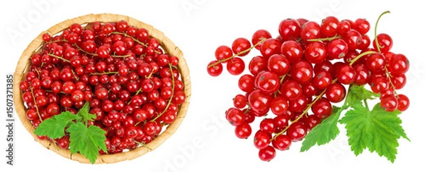 Fototapeta Red currant berries in a wicker basket with leaf isolated on white background. Top view. Flat lay