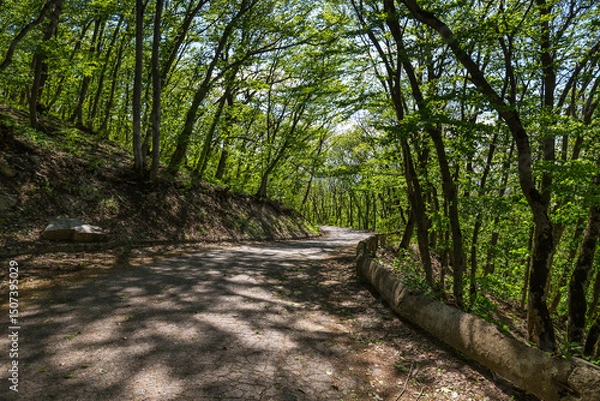 Obraz The slope of mount Mashuk, Stavropol Krai, Russia