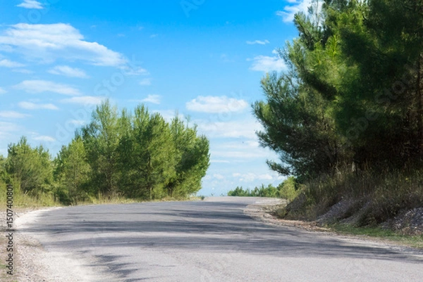 Fototapeta A curving rural road surrounded by green pine trees under a bright blue sky with scattered clouds, creating a peaceful, sunny atmosphere.