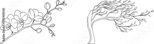 Fototapeta Elegant black and white line art of orchid flowers and a windblown tree branch