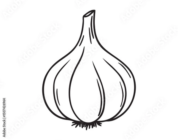 Obraz garlic doodle hand drawn icon. Outline drawing garlic line clipart symbol