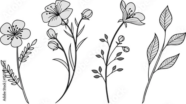 Obraz Minimal Botanical graphic sketch drawing, trendy tiny tattoo design, floral elements minimalist black and white vector illustration of five elegant botanical sketches.