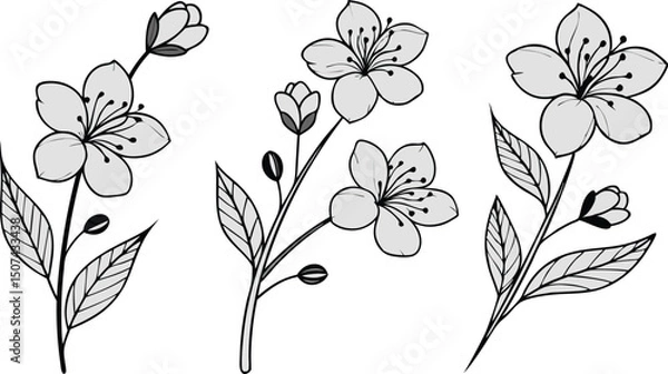 Obraz Minimal Botanical graphic sketch drawing, trendy tiny tattoo design, floral elements minimalist black and white vector illustration of five elegant botanical sketches.