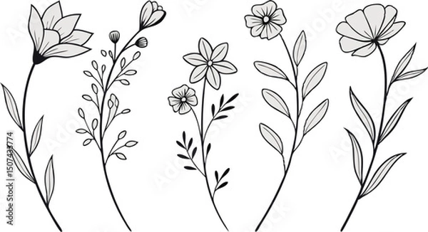 Obraz Minimal Botanical graphic sketch drawing, trendy tiny tattoo design, floral elements minimalist black and white vector illustration of five elegant botanical sketches.