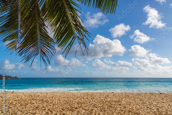 Obraz Sandy beach, blue sky with clouds and blue ocean with some palm leaves on the Island of Mahe. The Seychelles
