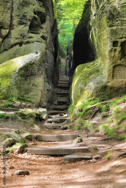 Fototapeta Ritterschlucht in Oybin