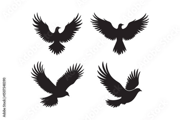 Obraz Open wings design set elegant bird wing illustrations