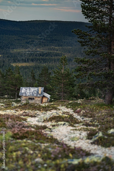 Fototapeta An isolated abandoned log cabin on a mountain slope stands in Idre Dalarna, Sweden, offering a breathtaking view of the surrounding boreal forest and majestic mountains at dusk