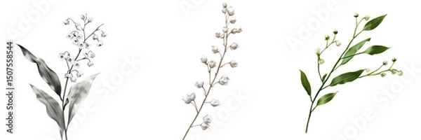 Fototapeta Set of Monoline vector drawing of a tulip with delicate color fill, minimal style on transparent png background. Ai generated
