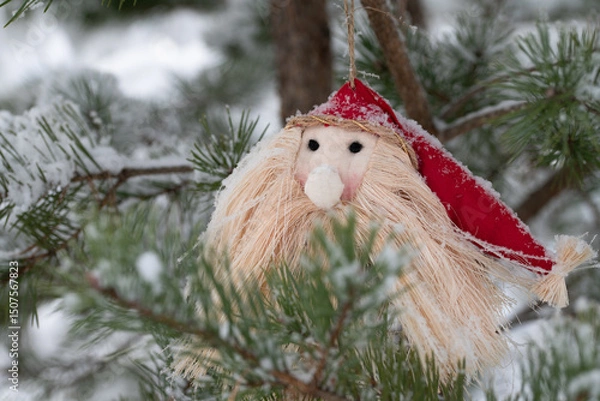 Fototapeta In winter, a little Santa hangs from a coniferous tree outside. Small snowflakes have fallen on Santa and the tree.
