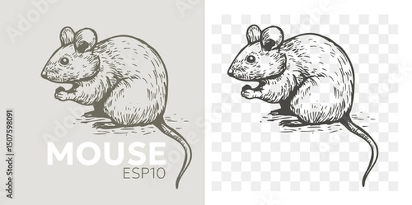 Fototapeta Mouse, rat, realistic illustration, vector sketch, hand drawn, monochrome