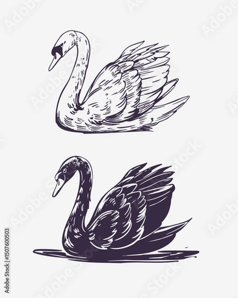 Fototapeta Swan, vector sketch illustrations, hand drawn, monochrome