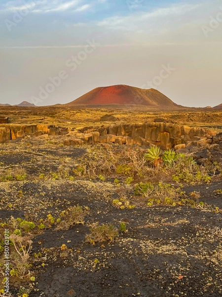 Fototapeta Wide volcanic plain with scattered desert plants stretches toward a bold red crater under early morning light. Stunning scene captures the harsh yet captivating arid environment of Lanzarote island.