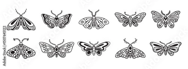 Obraz Moth doodle hand drawn icon set. Outline drawing moth line clipart symbol collection