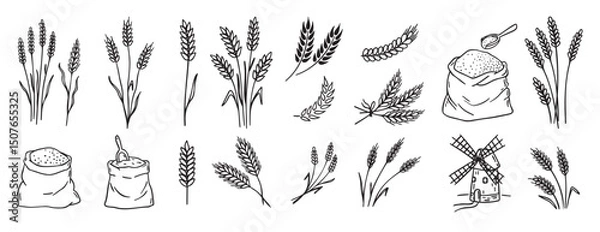 Obraz wheat and cereal plants, rye barley and ears of wheat in bag doodle hand drawn icon set. Outline drawing ears of wheat line clipart symbol collection