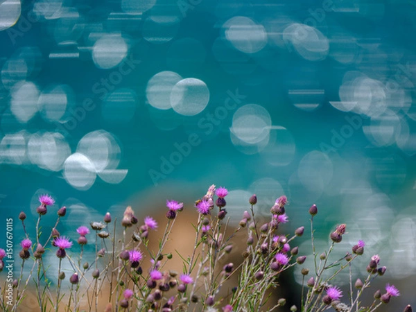 Obraz beautiful flowers in the nature