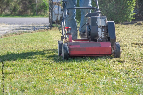 Fototapeta Gardener uses scarifier to remove moss and thatch from lawn improving its health and appearance, Seasonal gardening on a bright sunny spring day, copy space,