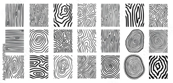 Obraz Wood lines texture material doodle hand drawn line set. Rings and circles tree trunk geometric curve, wave contour. 