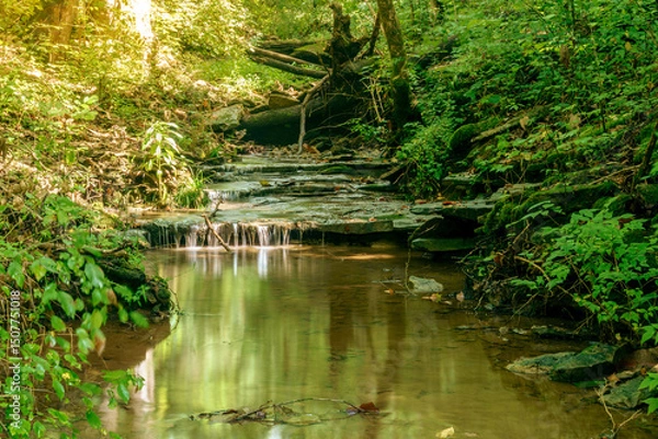 Obraz Side branch falls