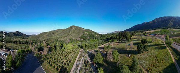 Obraz A Beautiful Mountain Scene from the Air with a UAV Drone over a Forest