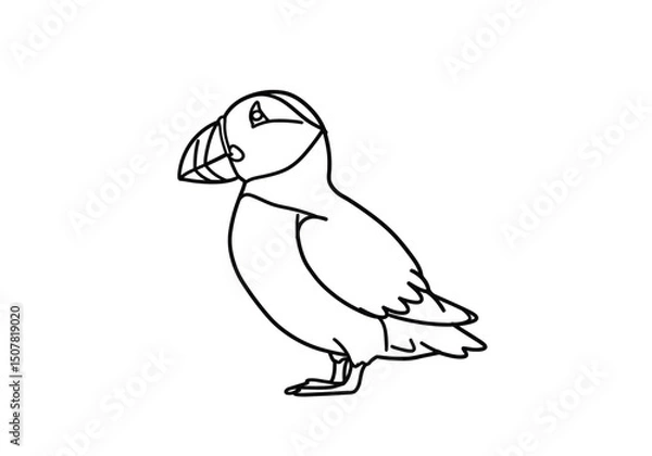 Obraz Puffin drawing. This black and white outline depicts a puffin, a charming seabird with a distinctive, large beak, often found in northern coastal regions. Vector sketch line art draw.