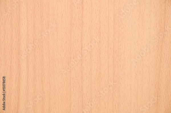 Obraz Beech wood texture
