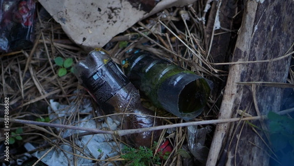 Obraz Discarded Plastic Bottles in a Natural Setting Environmental Pollution