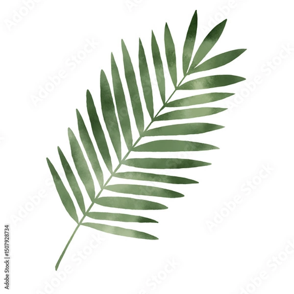 Fototapeta 水彩風パームリーフのシンプルイラスト