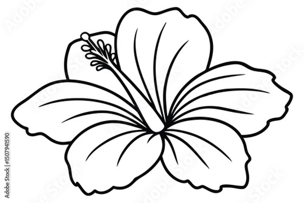 Fototapeta Hibiscus Flower Line Art Vector, Hibiscus Flower outline 