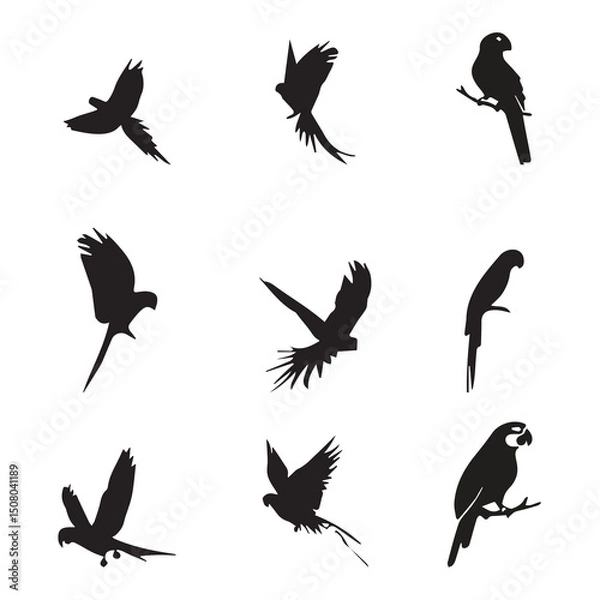 Fototapeta Group parrot vector design