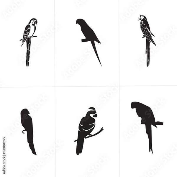 Fototapeta Group parrot vector design