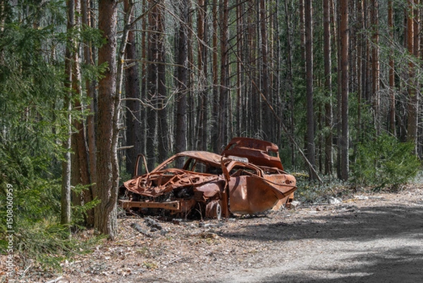 Fototapeta An abandoned, wrecked, extremely rusty burnt car on the side of a forest road.