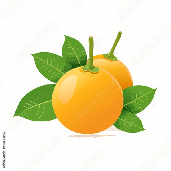 Obraz Cluster of Fresh Apricots with Leaves
