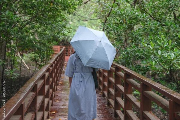 Obraz A woman walking on a bridge with an umbrella in a green environment. Mangrove Forest Learning Center Phra Chedi Klang Nam Rayong Thailand