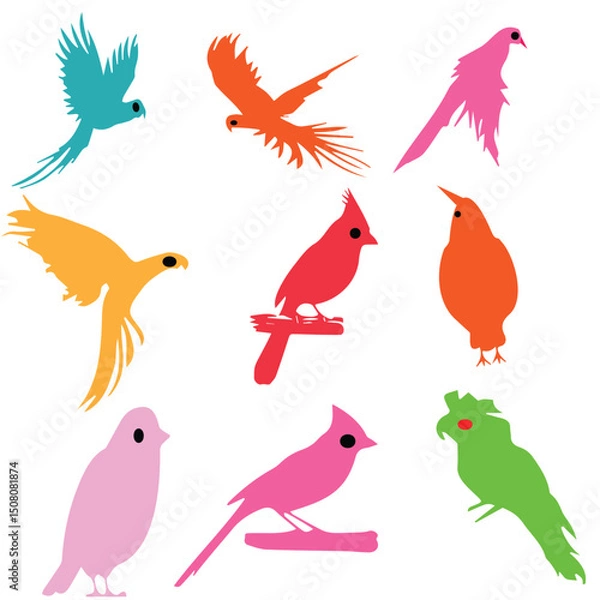 Obraz  Beautiful Birds Vector Set 
