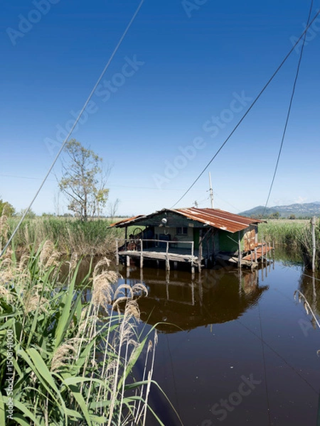 Obraz Old fishing scales on stilts in the quiet of the Tuscan swamp