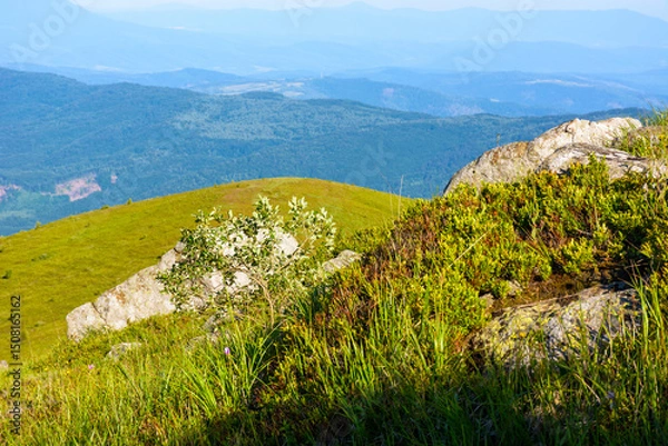 Fototapeta pile of rock boulder on the grassy slope. carpathian mountain landscape blurred in the distance. sunny morning